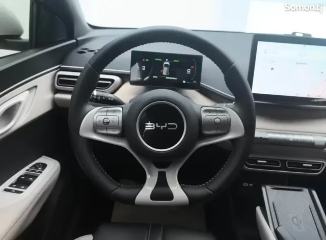BYD Seagull 2024 · AT