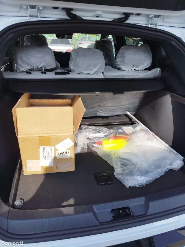 BYD Song Plus 2025 · AMT