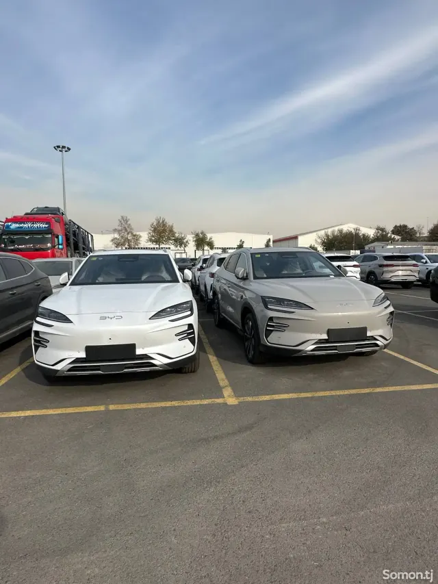 BYD Song Plus 2025 · AMT