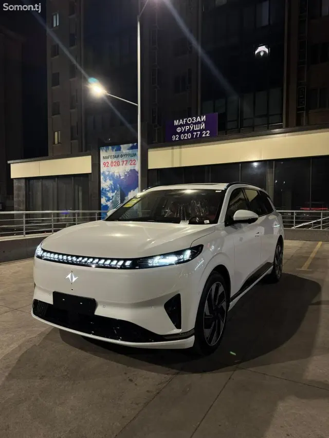 Dongfeng EP 008 2025 · AT