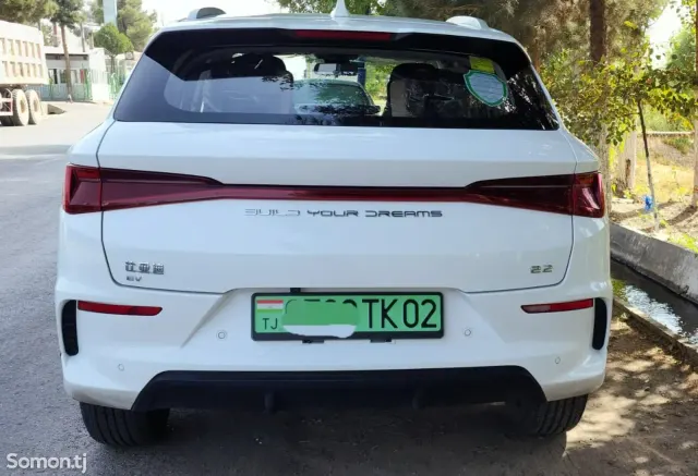 BYD E2 2024 · AMT