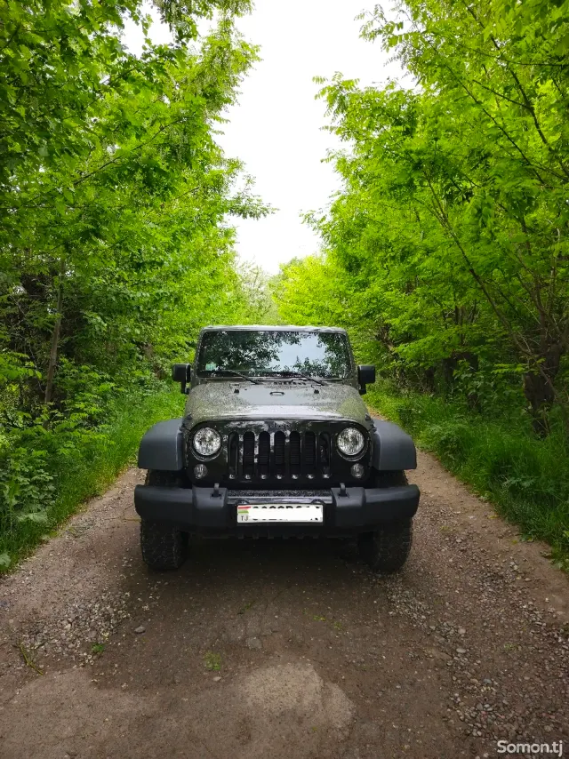 Jeep Wrangler 2017 · 3.6 AT