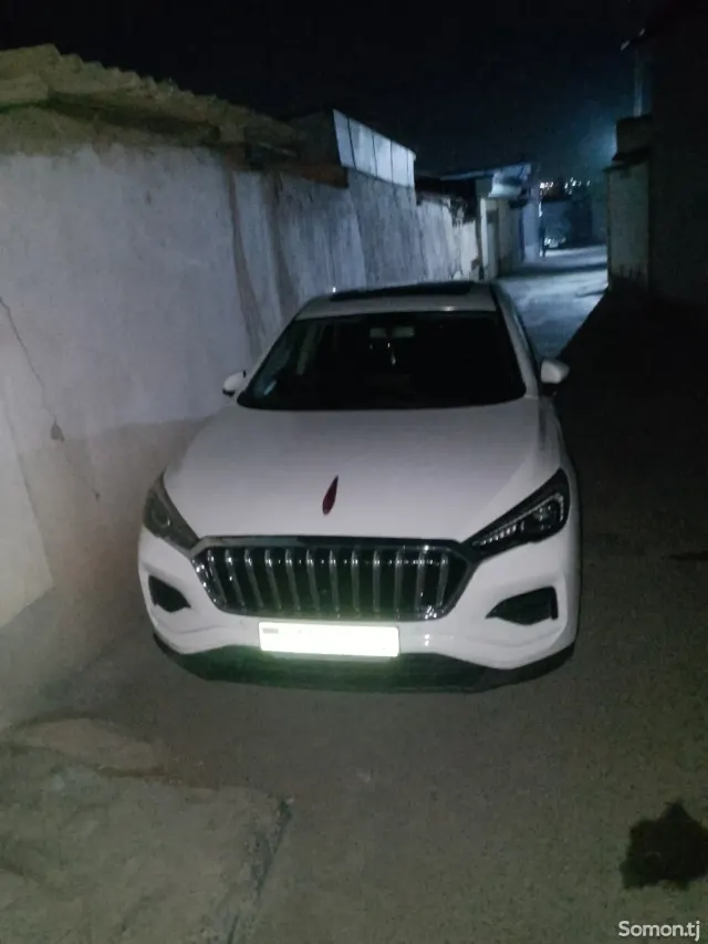 Hongqi E-HS9 2019 · AT