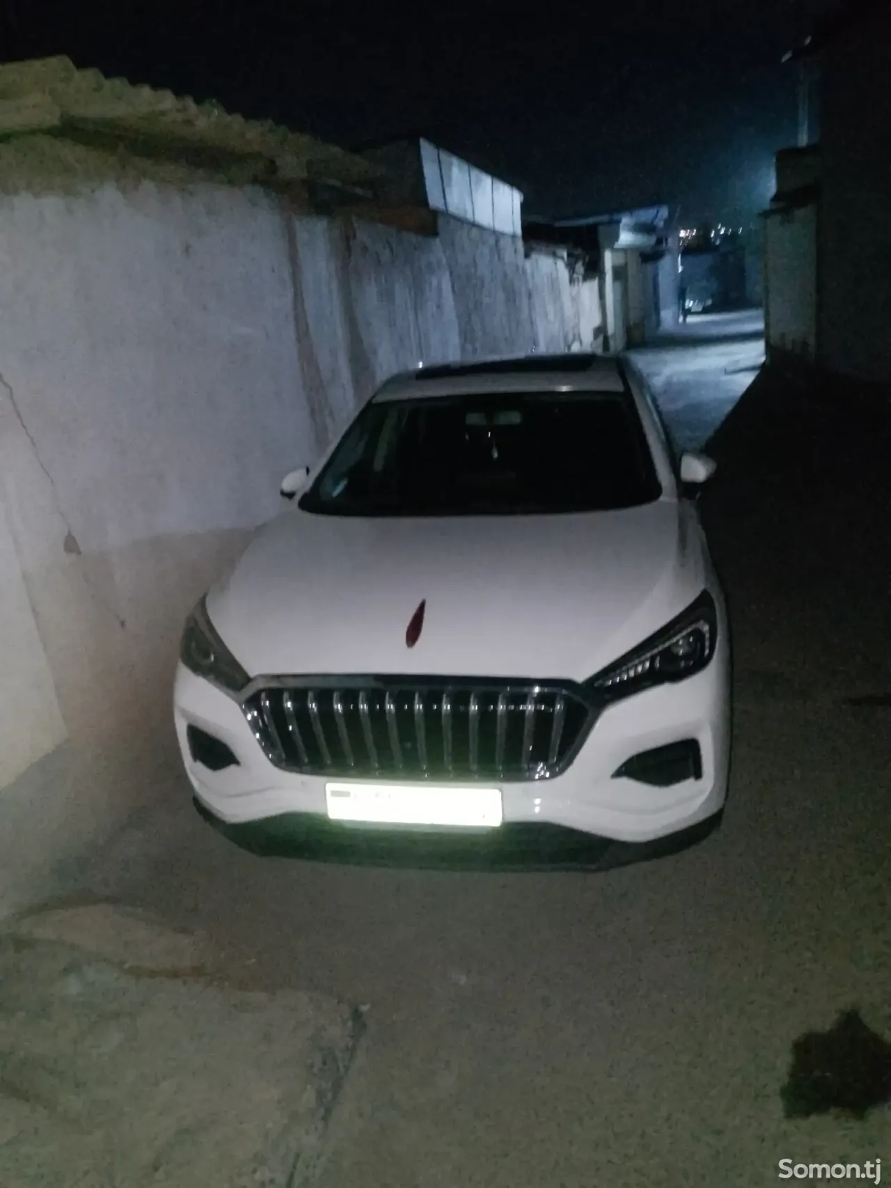 Hongqi E-HS9 2019 · AT