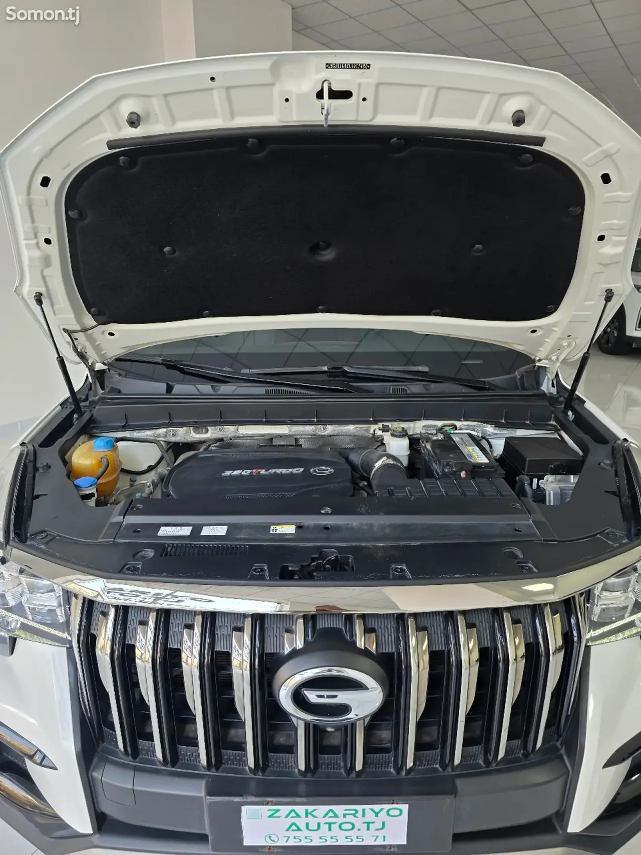 GAC Trumpchi GS8 2020 · 2.0 AT