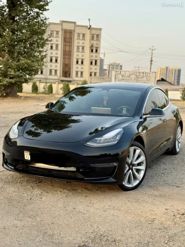 Tesla Model 3 2019 · AMT