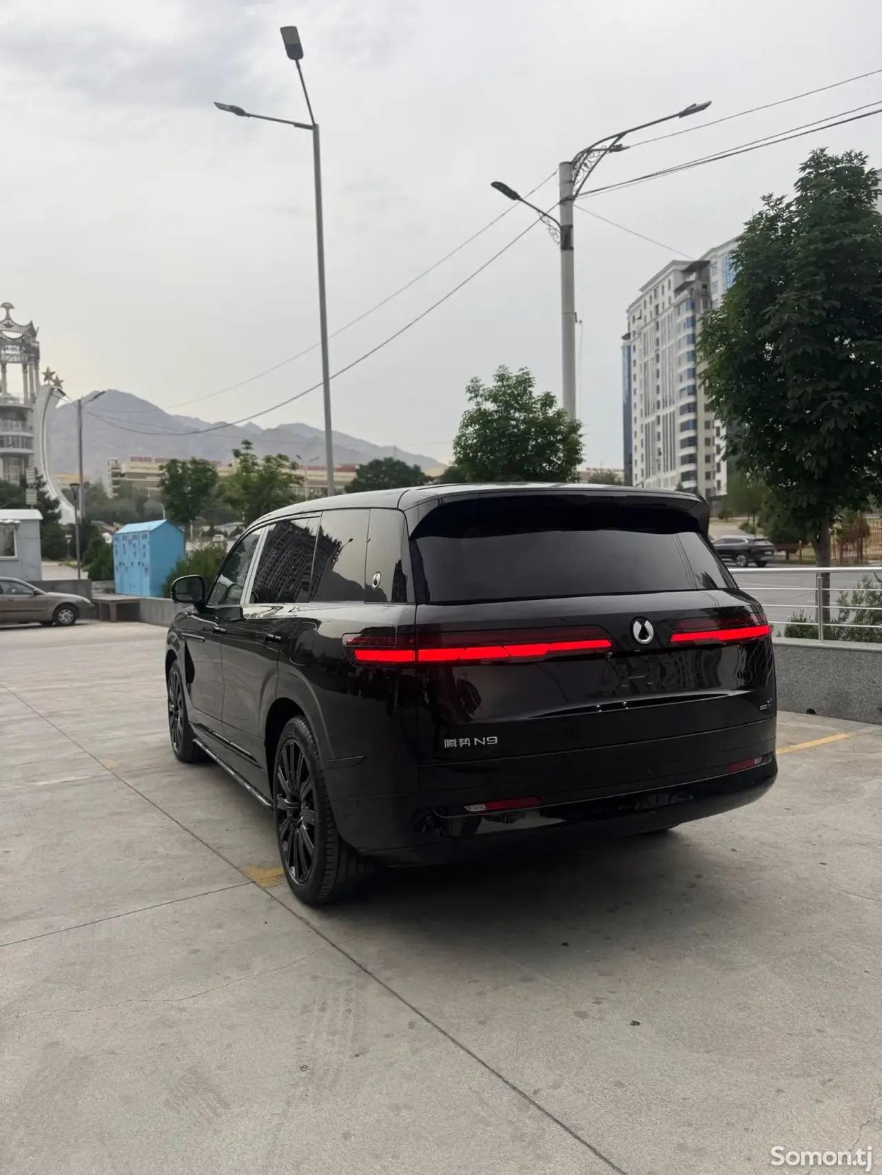 BYD Denza N9 2025 · AT