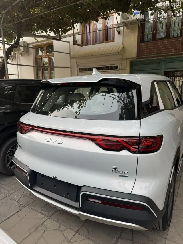 BYD Yuan Up 2025 · AMT