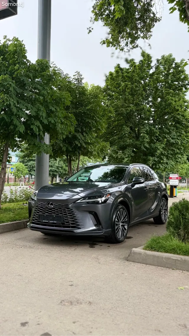 Lexus RX series 2025 · 3.5 AT