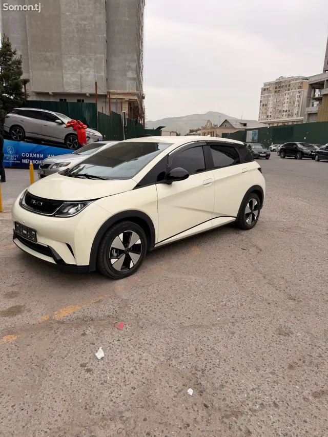 BYD Dolphin 2023 · AT