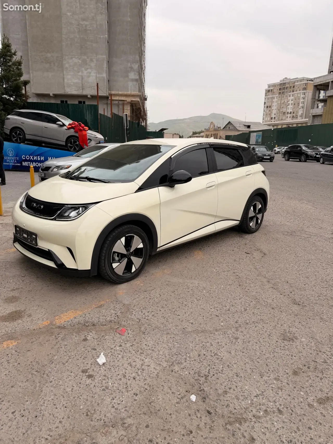BYD Dolphin 2023 · AT