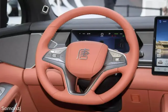 BYD Tang 2025 · AMT