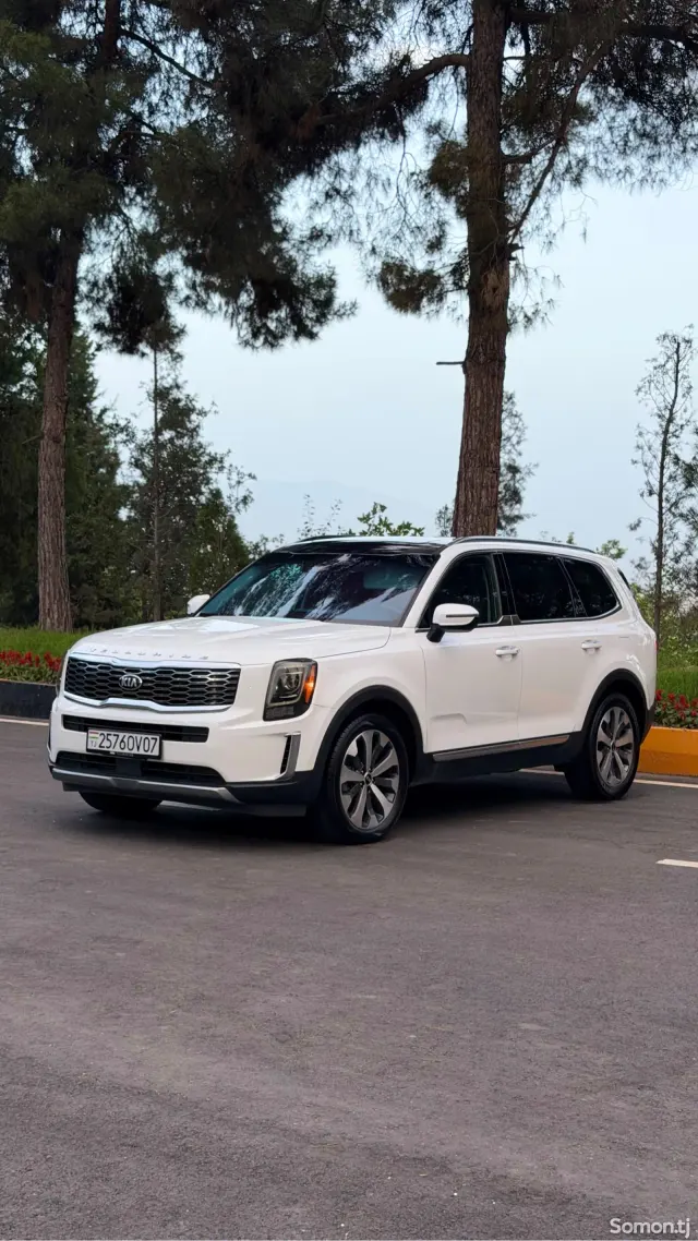 Kia Telluride 2020 · 3.8 AT