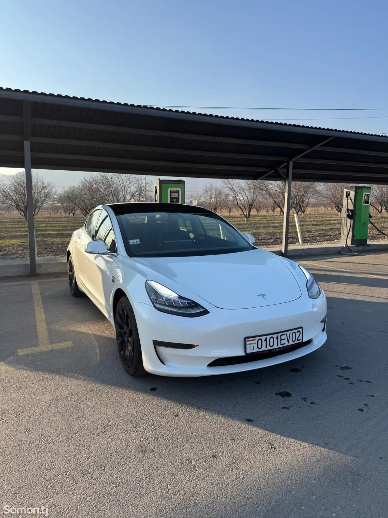 Tesla Model 3 2021 · AT