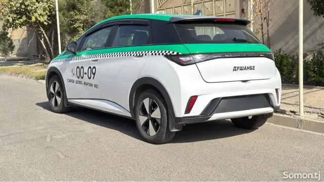 BYD Dolphin 2024 · AT