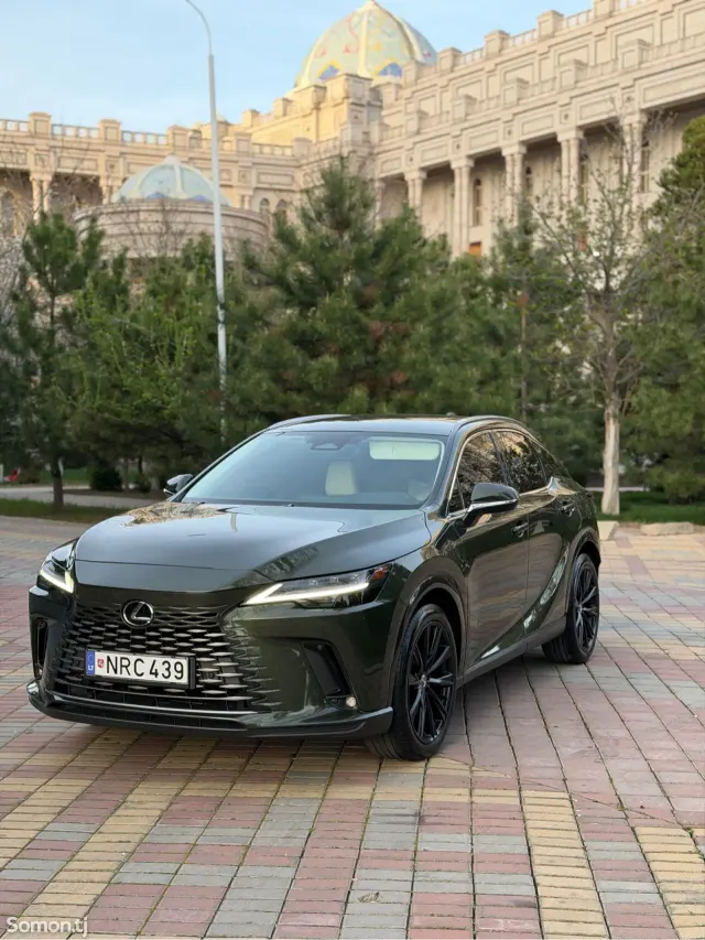 Lexus RX series 2025 · 4.5 AT
