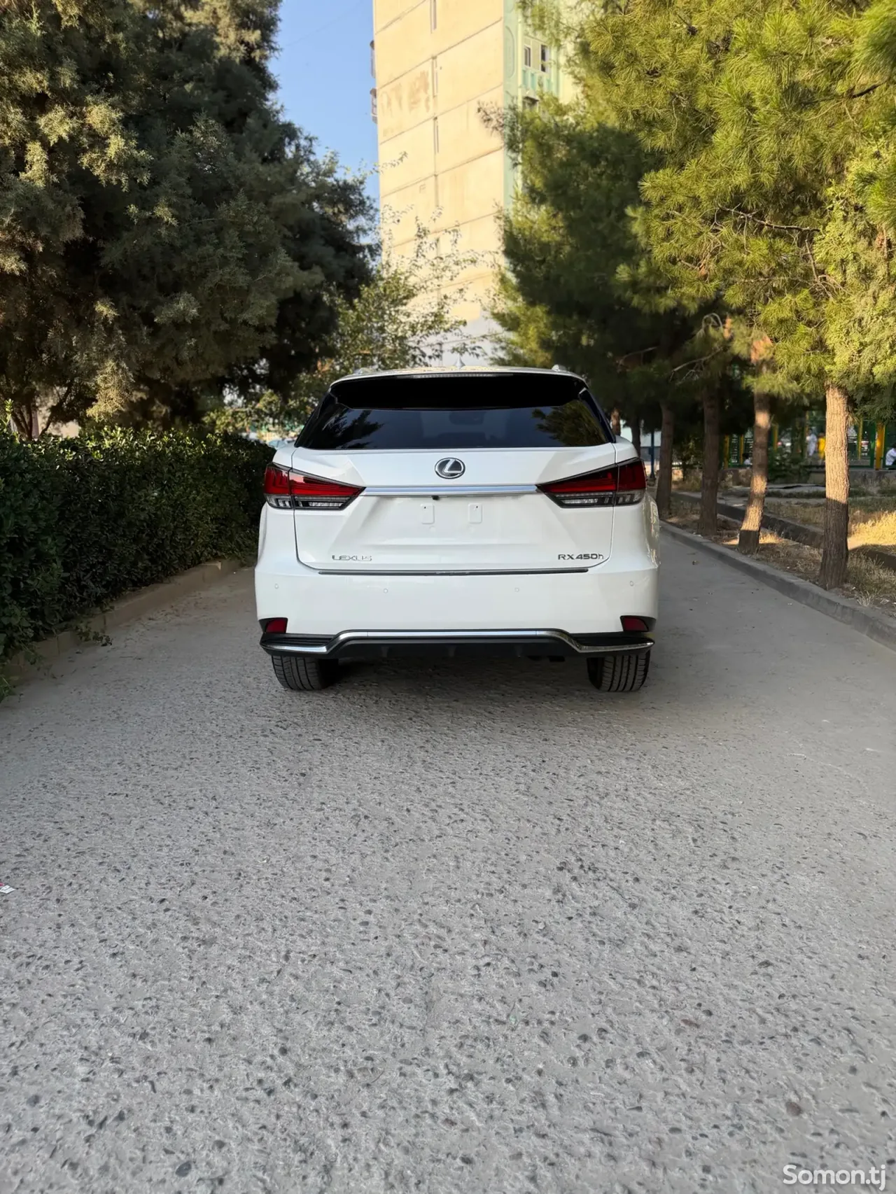 Lexus RX series 2019 · 4.5 AT