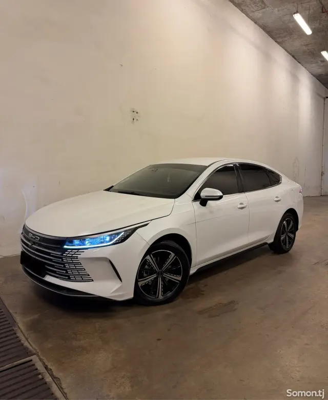 BYD Другие модели 2024 · 1.5 AT