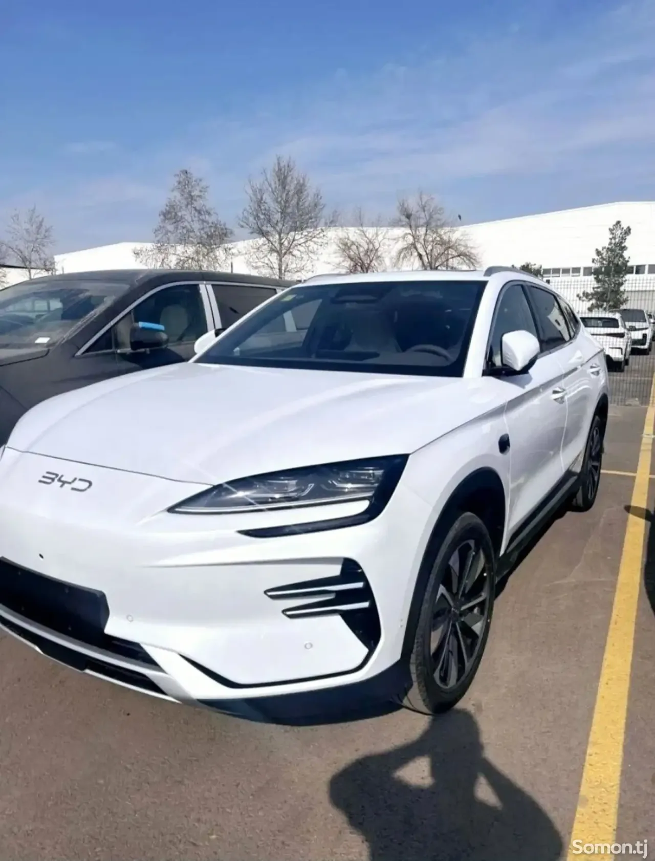 BYD Song Plus 2025 · AMT
