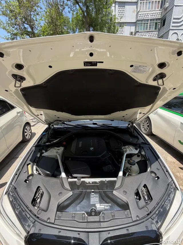 BMW 5 series 2018 · 2.0 AT