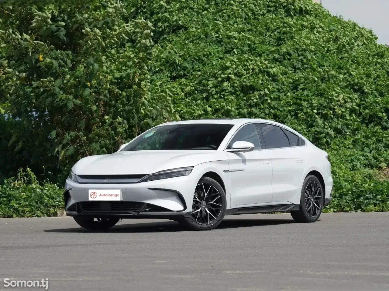 BYD Han 2023 · 2.0 AT