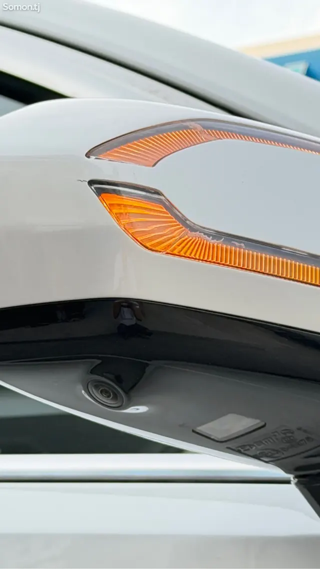 Hyundai Palisade 2021 · 2.0 AT