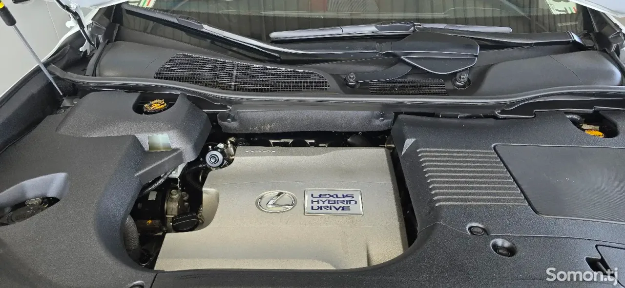 Lexus RX series 2011 · 4.5 MT