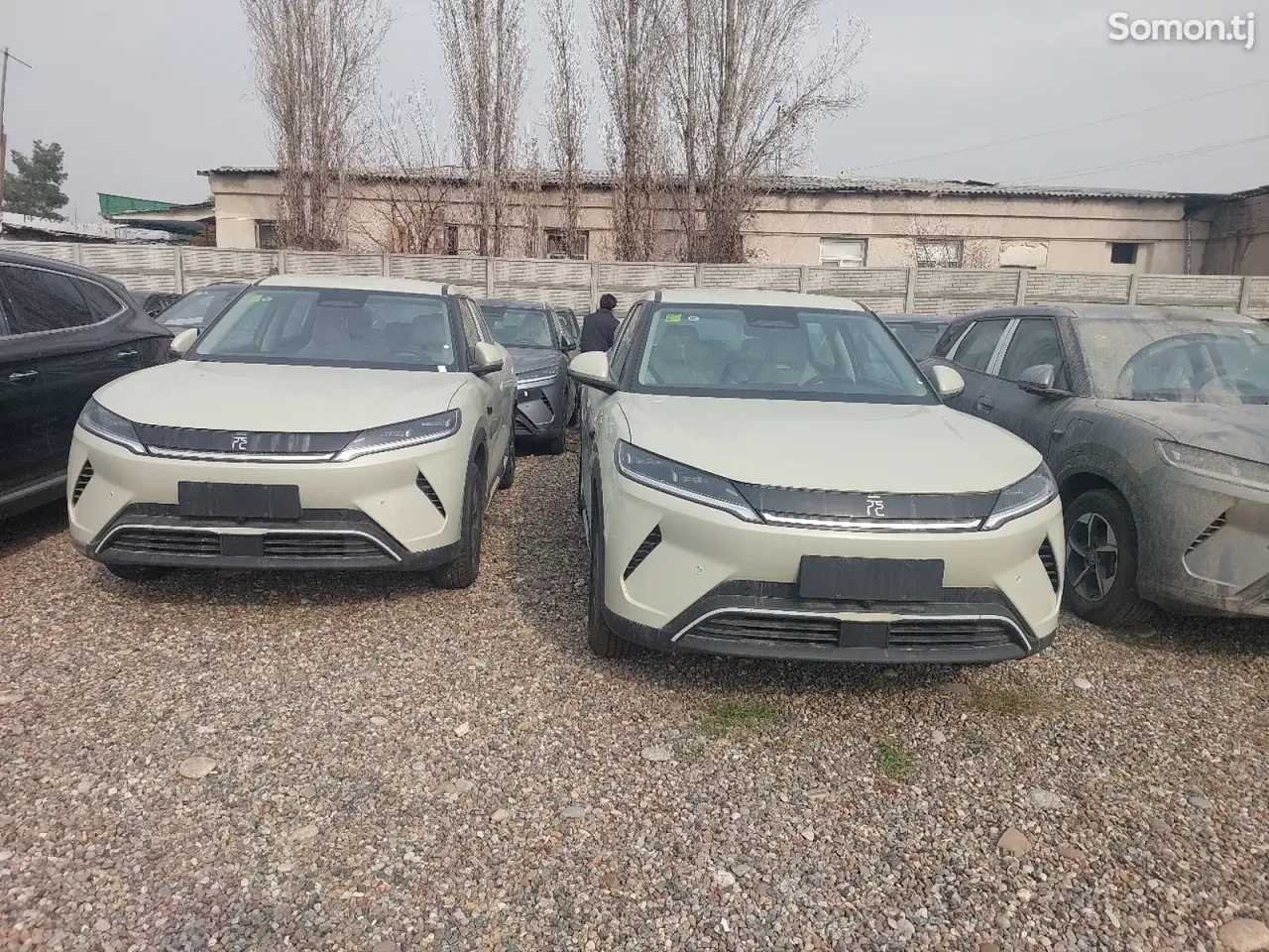 BYD Yuan Up 2025 · 2.2 AT