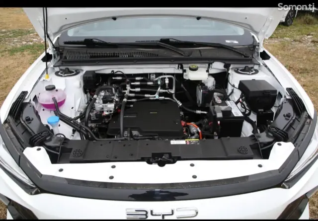 BYD E2 2025 · AMT