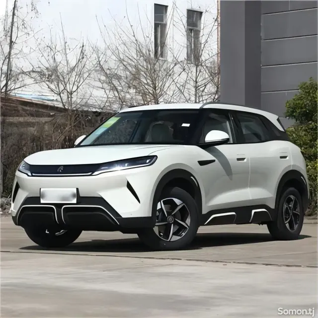 BYD Yuan Up 2025 · AMT