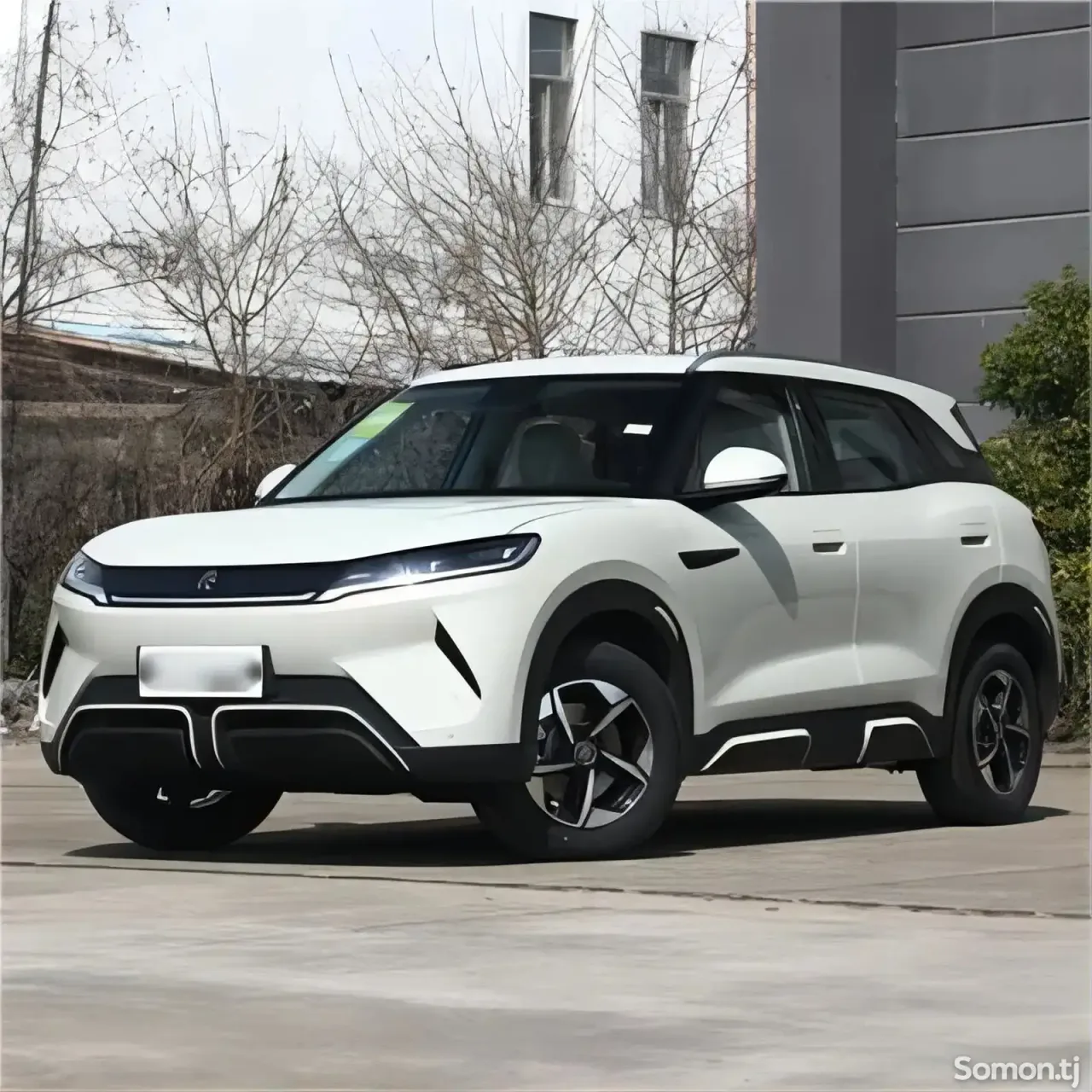 BYD Yuan Up 2025 · AMT