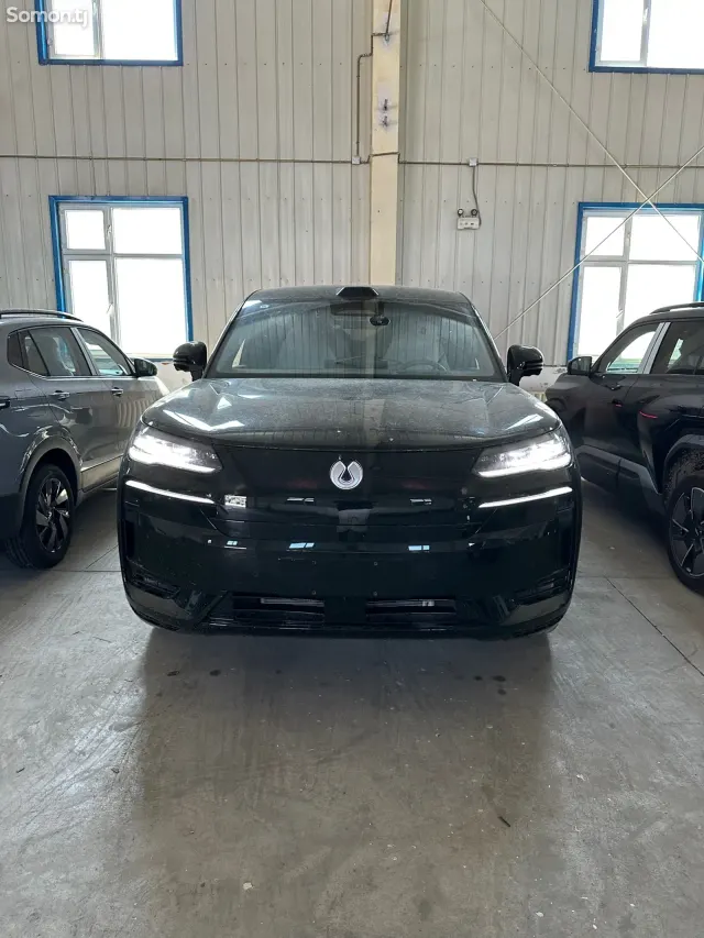 BYD Denza N9 2025 · 2.0 AT