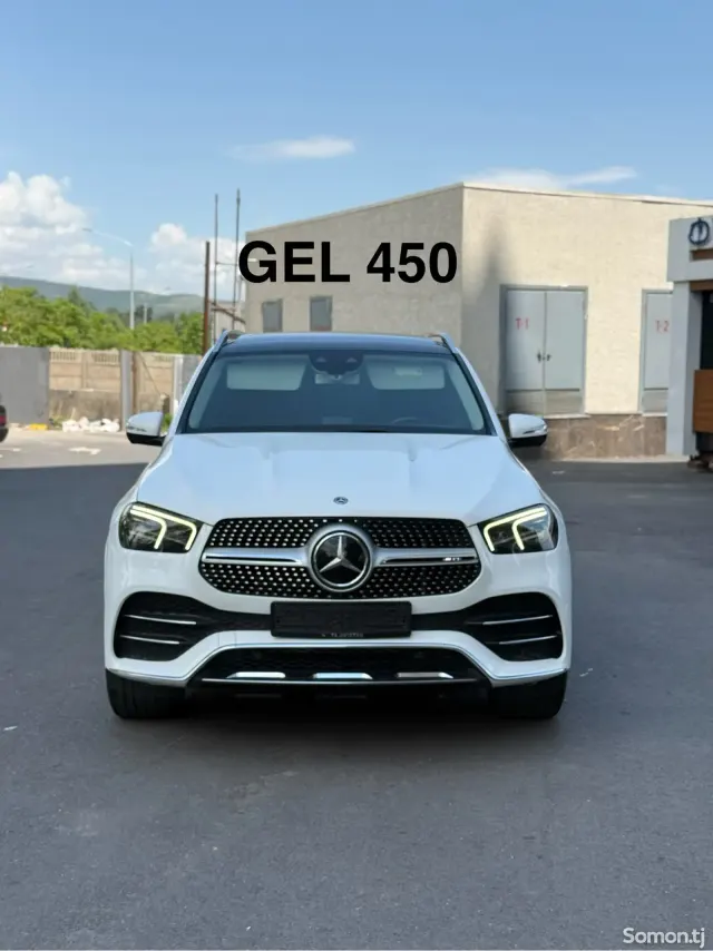 Mercedes-Benz GLE class 2020 · 4.5 AT
