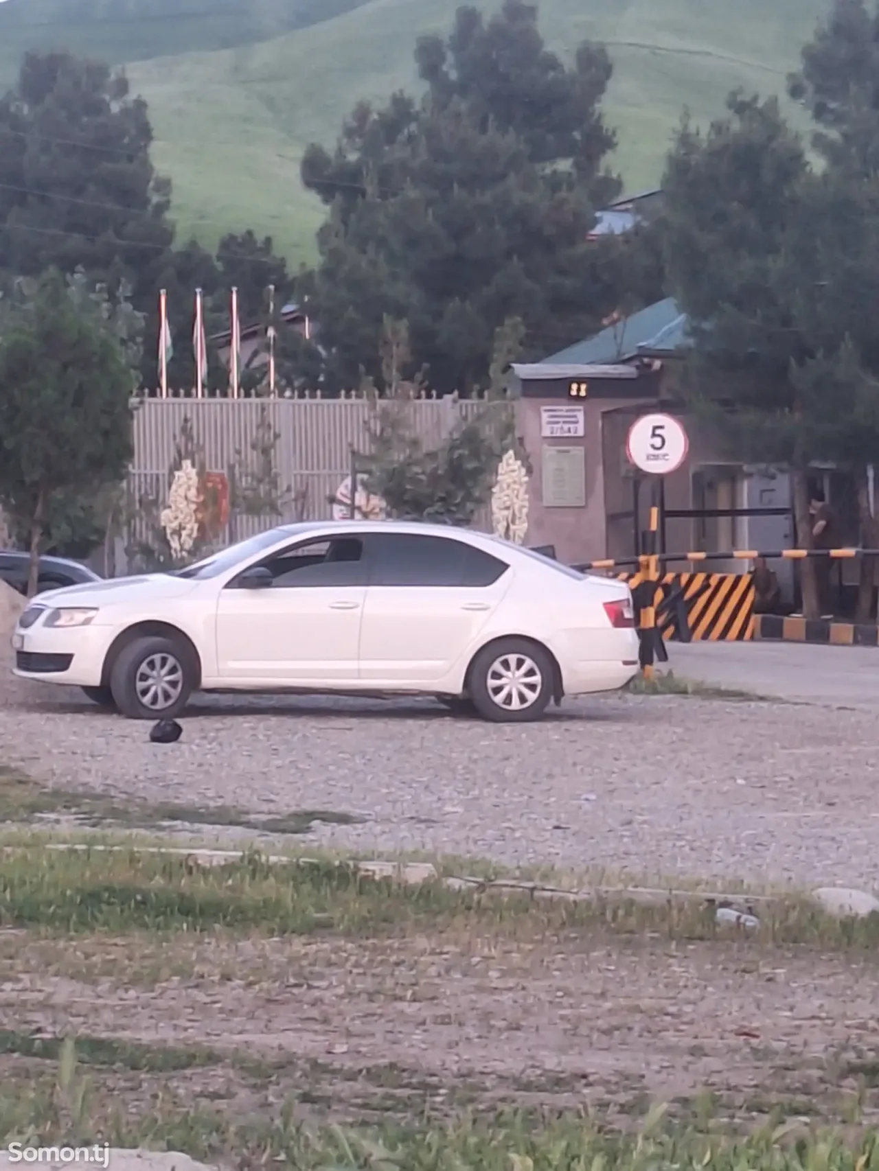 Skoda Octavia 2015 · 1.6 MT