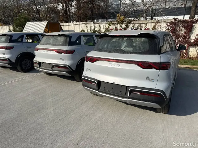 BYD Yuan Up 2025 · AMT