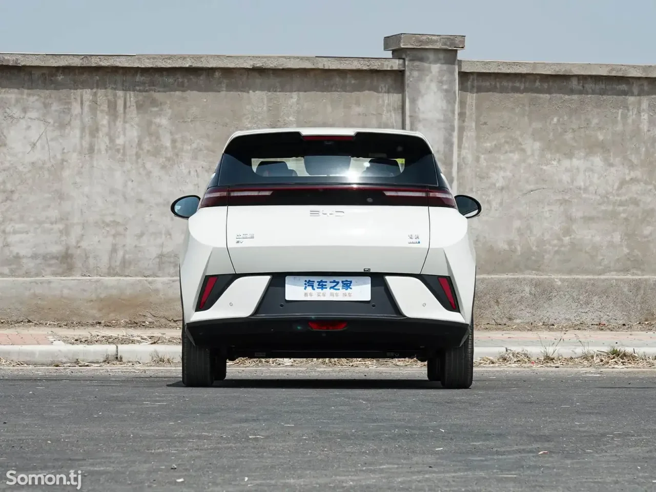 BYD Seagull 2025 · AT
