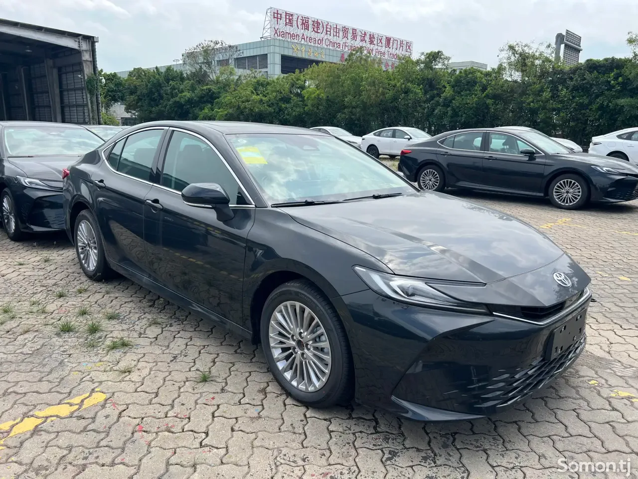 Toyota Camry 2025 · 2.0 CVT