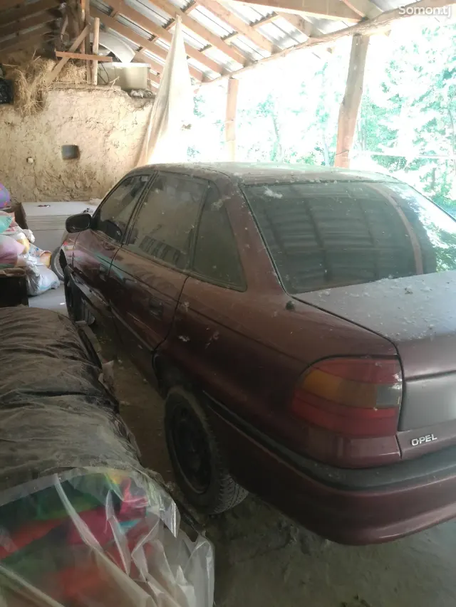 Opel Astra F 1996 · 1.6 MT