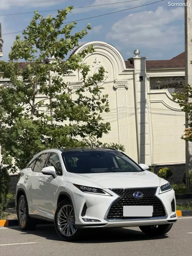 Lexus RX series 2020 · 4.5 AT