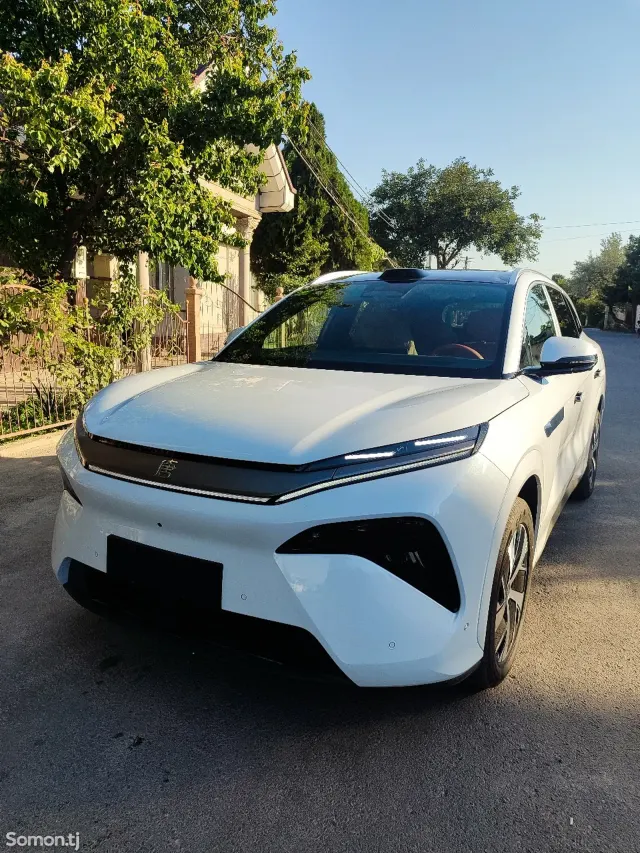 BYD Tang 2025 · AMT
