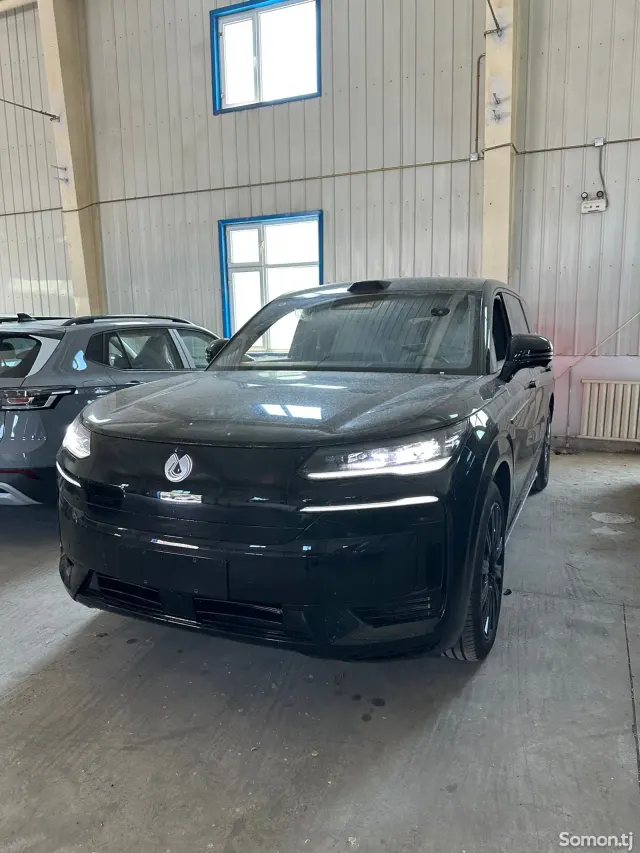BYD Denza N9 2025 · 2.0 AT