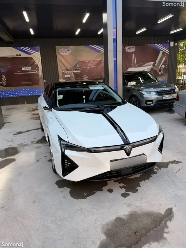 Dongfeng EP 008 2025 · AT