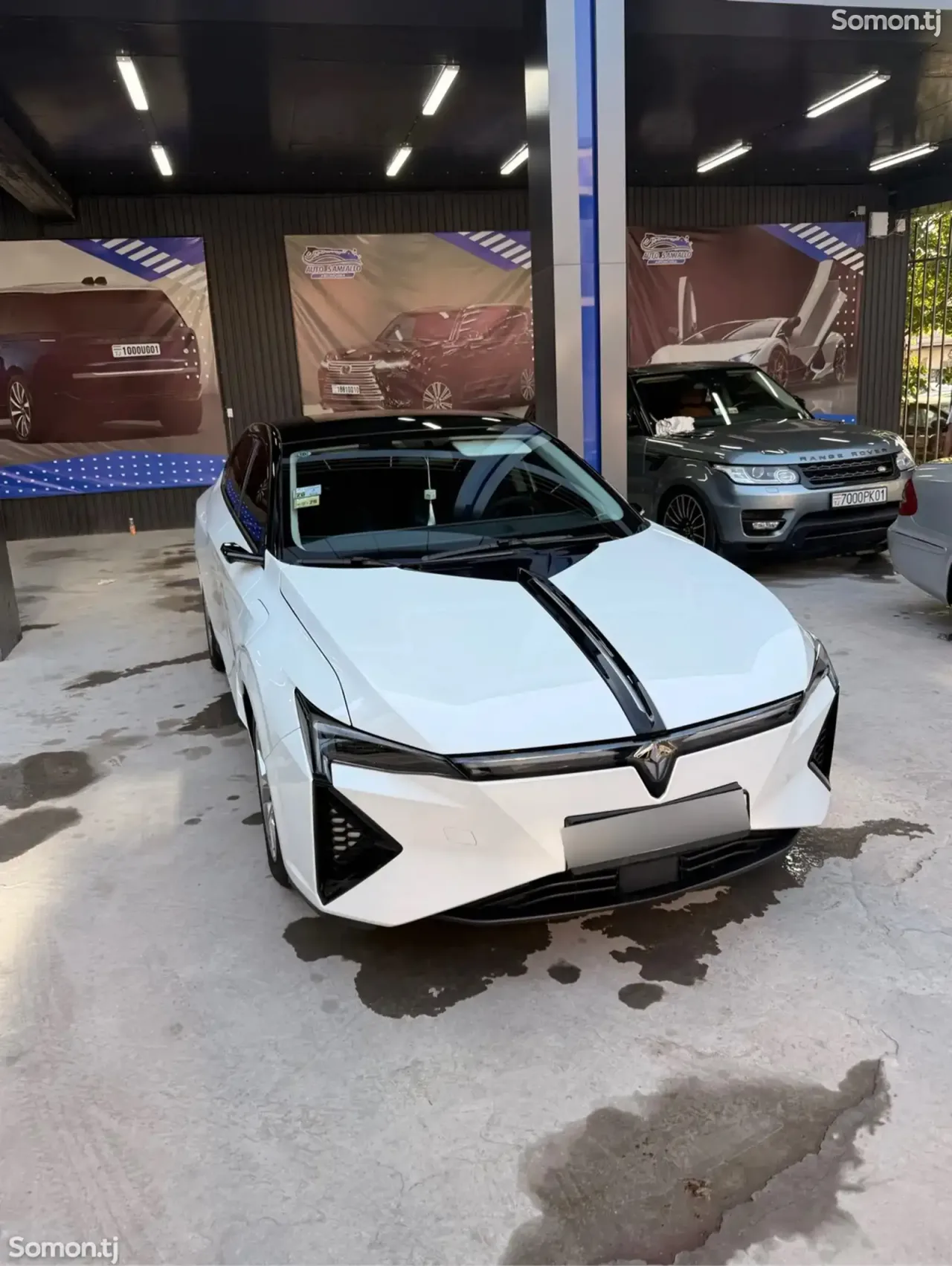 Dongfeng EP 008 2025 · AT