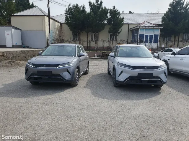 BYD Yuan Up 2025 · AMT