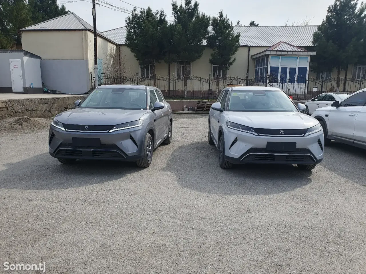 BYD Yuan Up 2025 · AMT