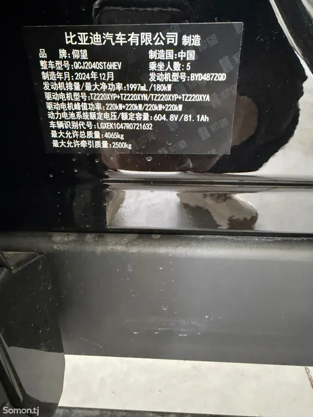 BYD Другие модели 2025 · 2.0 AT