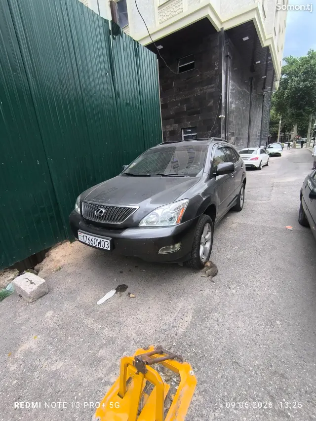 Lexus RX series 2004 · 3.3 AT