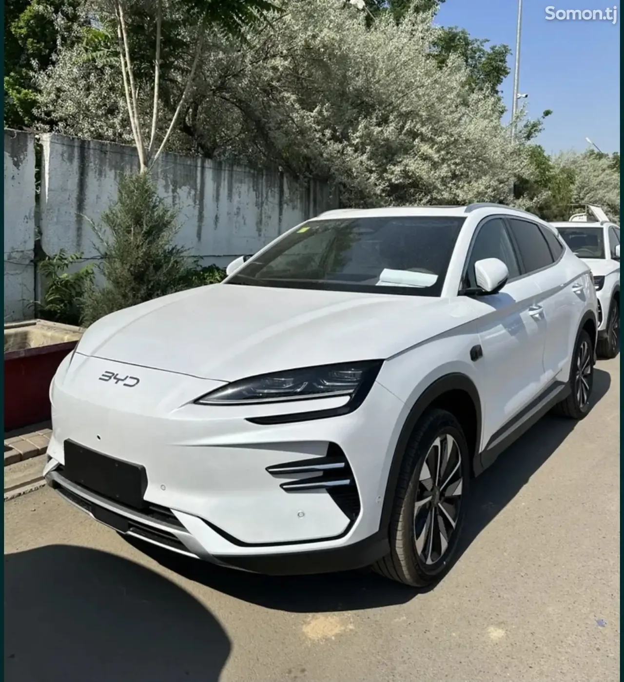BYD Song Plus 2025 · AMT