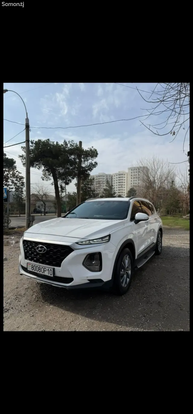 Hyundai Santa Fe 2019 · 2.2 AT