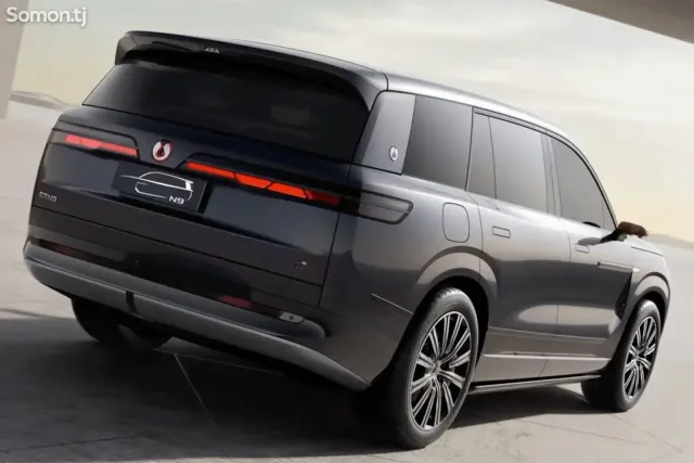 BYD Denza N9 2025 · 2.0 AT